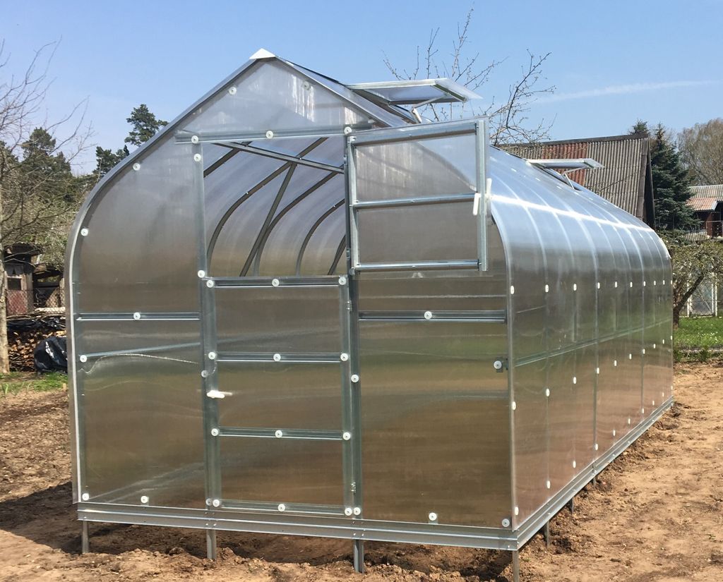 A greenhouse with a metal frame and clear polycarbonate panels is set up outdoors on a dirt ground. The greenhouse has an open door and a partially open roof vent.
