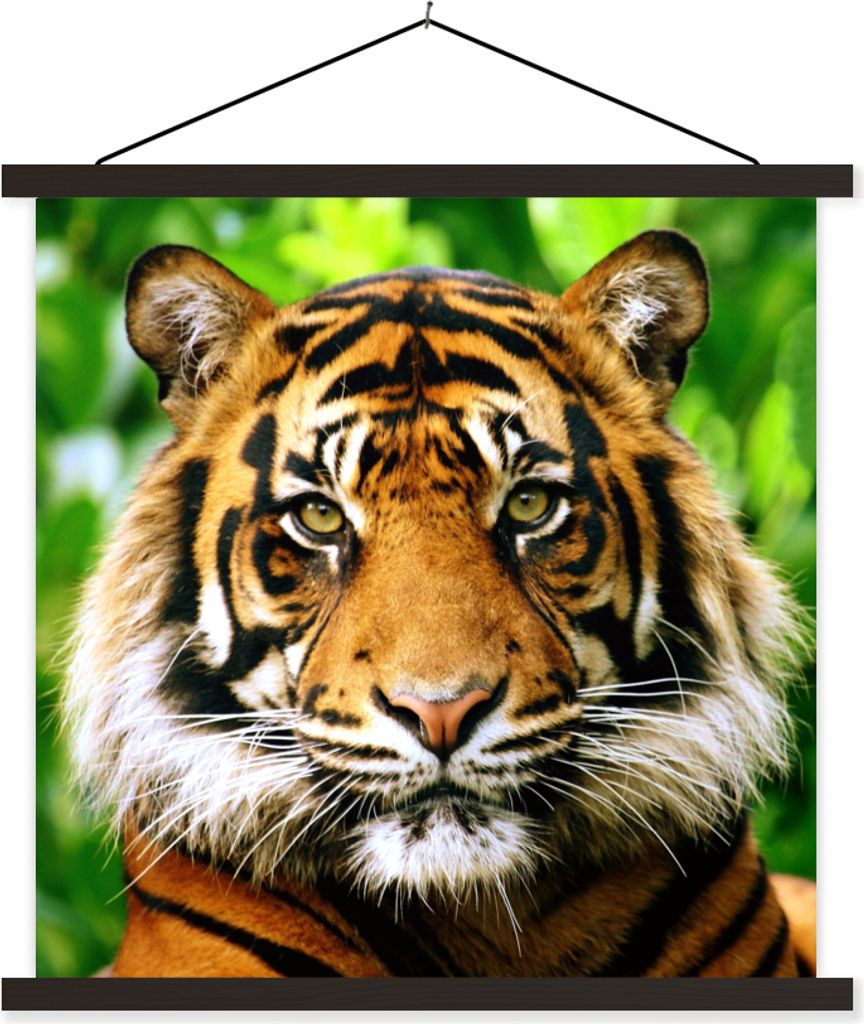 MuchoWow Textilposter Tiger - Kopf - Wald 40x40 cm mit schwarzem Rahmen - Fotos