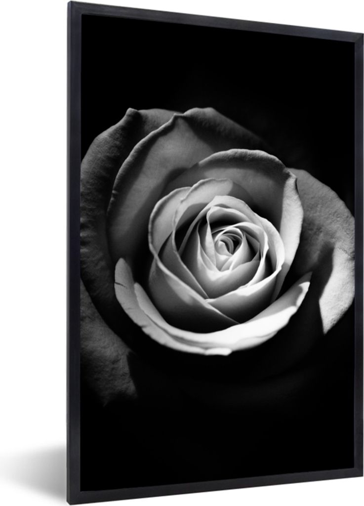 MuchoWow Gerahmtes Poster Blumen - Schwarz - Rose - Weiß - Botanisch 40x60 cm - Poster mit Schwarzem Bilderrahmen Wandposter Rahmen Foto Bilder ...
