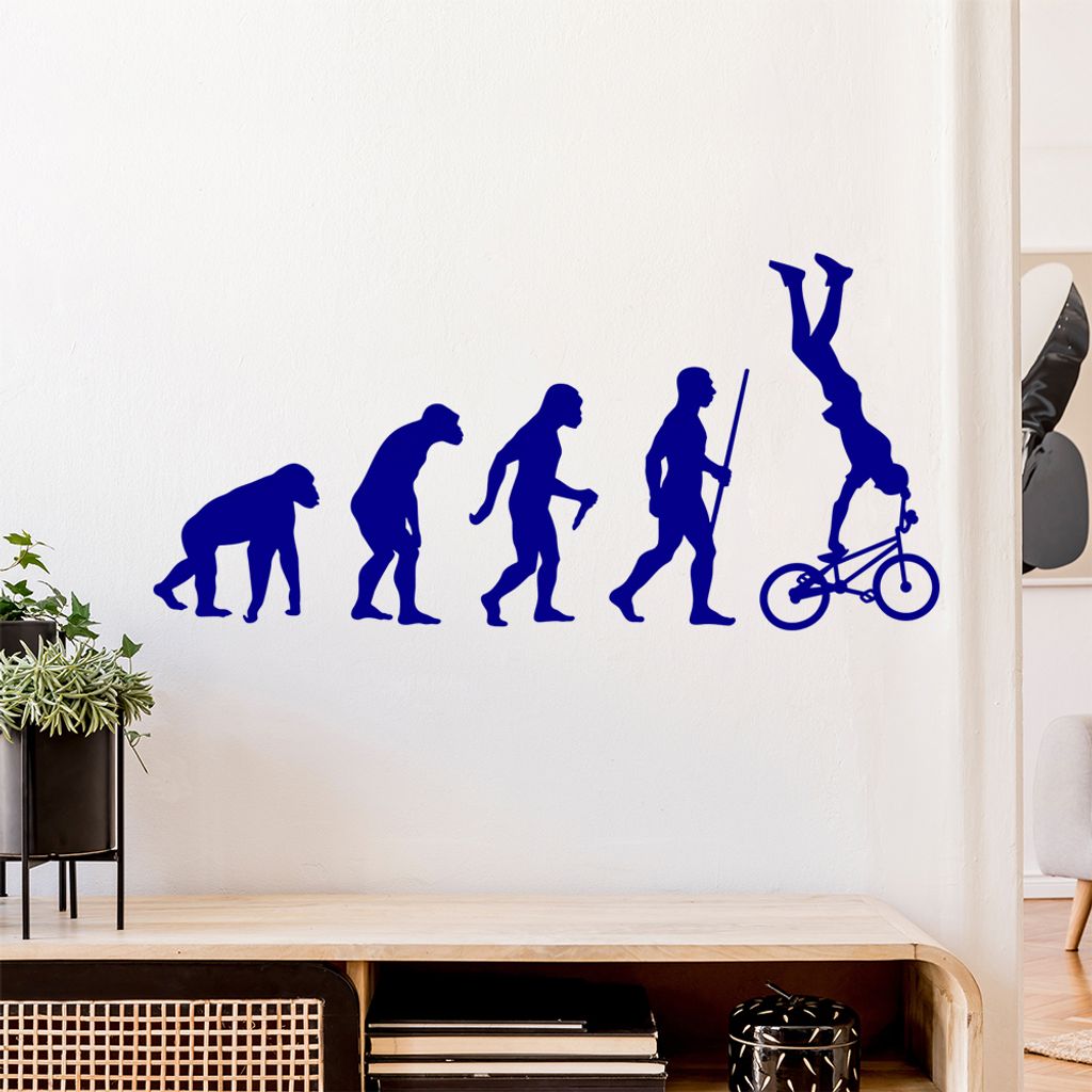 BMX Freestyle Evolution Wandtattoo Wandaufkleber Wall Sticker - Dekoration, Küche, Wohnzimmer, Schlafzimmer, Badezimmer