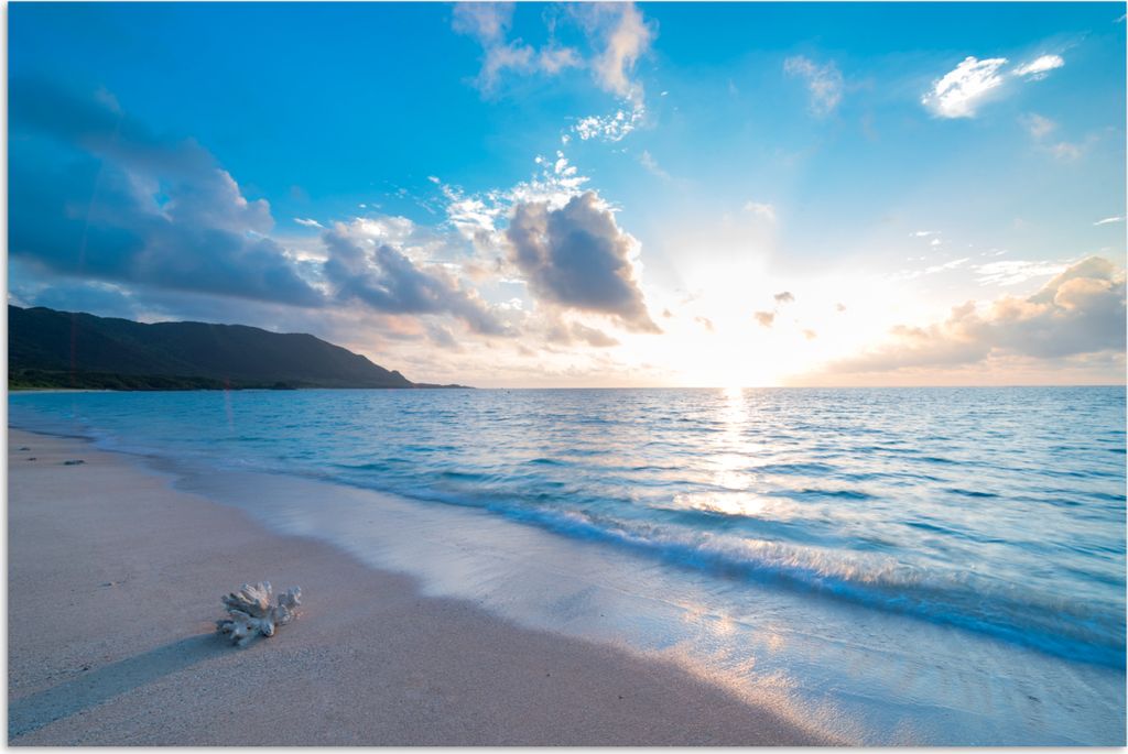 MuchoWow Poster Strand - Meer - Muschel 90x60 cm - Schlafzimmer