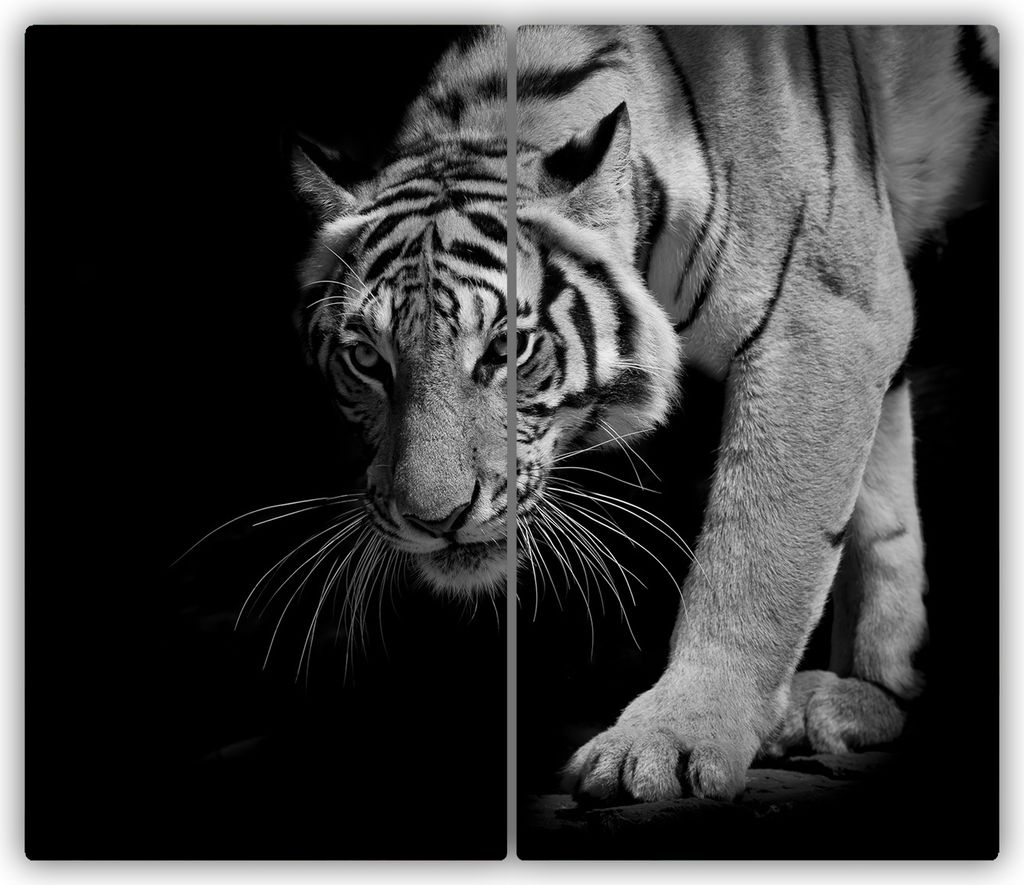 Tulup Glas-Herdabdeckplatte - 2x30x52cm - Glaskeramikkochfeld-Abdeckung Spritzschutz Zweiteilig Tiger