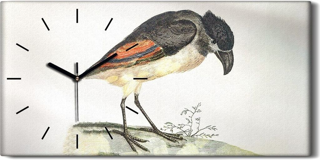Dekor Leinwand Uhr Wandbilder Geräuschlos 60x30 Zeichnung Tier Vogel Kunst - schwarze Hände