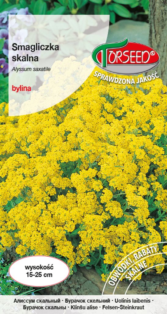 Samen von Gelber Steinsode 0.5g - Torseed