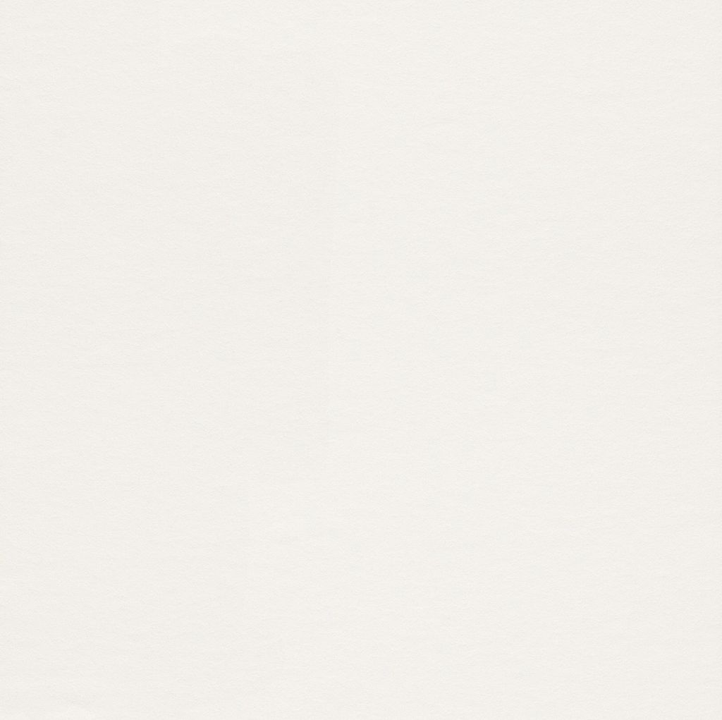 Vliestapete Unitapete Weiß Einfarbig 140217 Factory IV