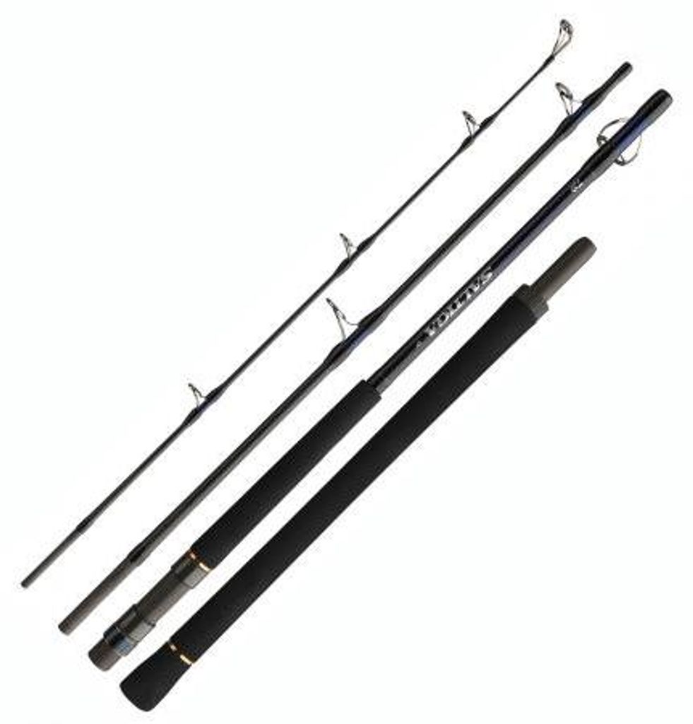 Daiwa Saltiga Light Game 4sect. 8ft 40-110g Produktbild 