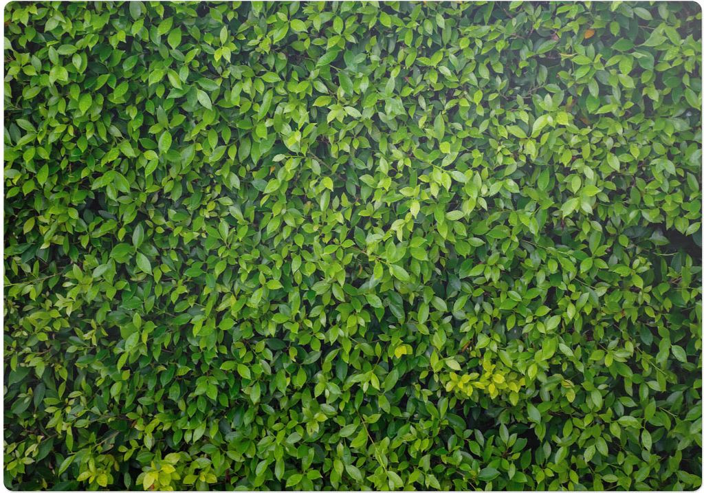 Grüne Wand aus Blättern – Bodenschutzmatte – Stuhlunterlage 100x100 cm – Rutschfest – Hartbodenmatte