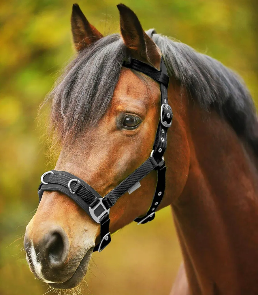 Offerta Kappzaum Economico Nylon Nero WB - Attrezzatura Cavallo Prezzo Basso