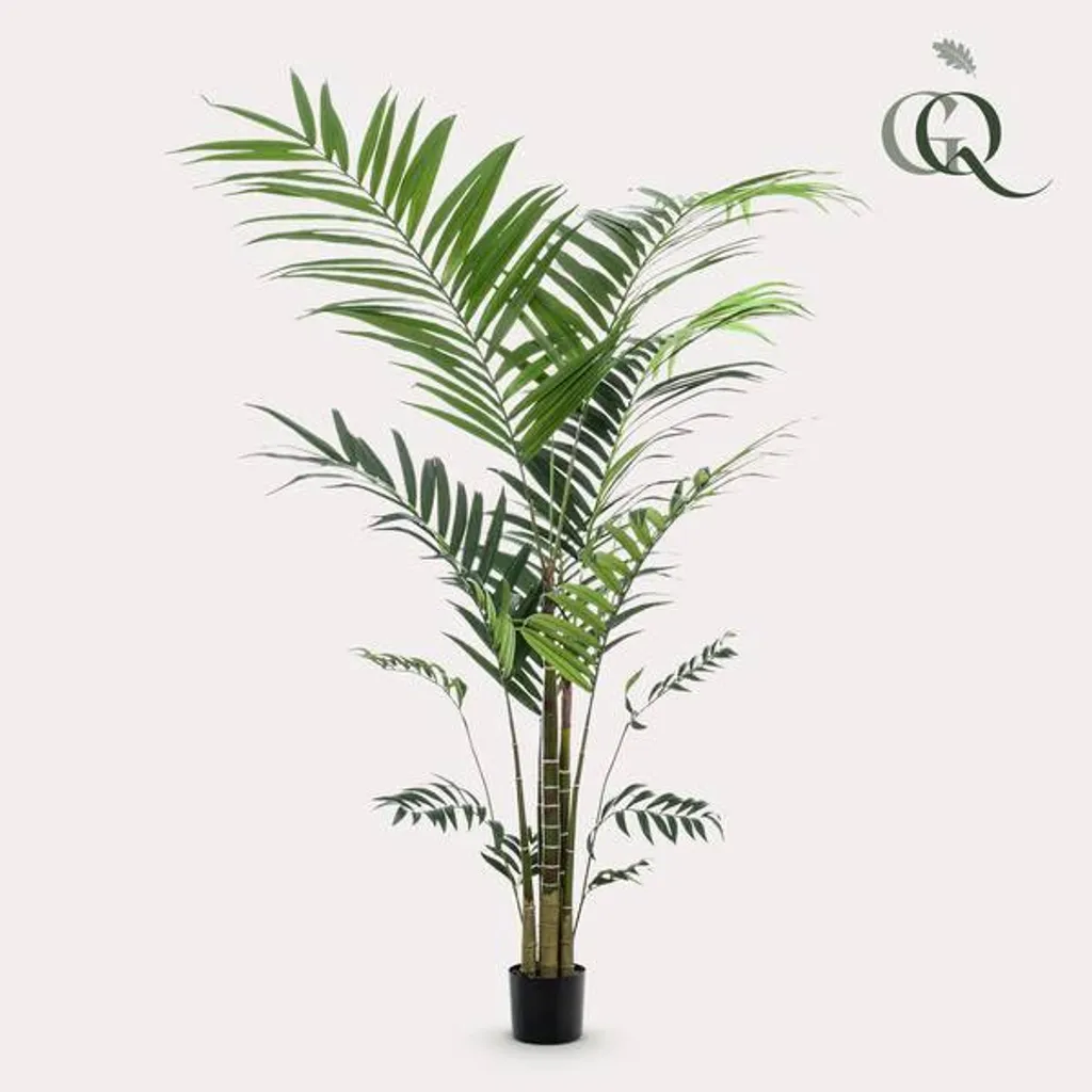 Palmier Kentia artificiel XXL 210cm - Feuillage dense haute qualité