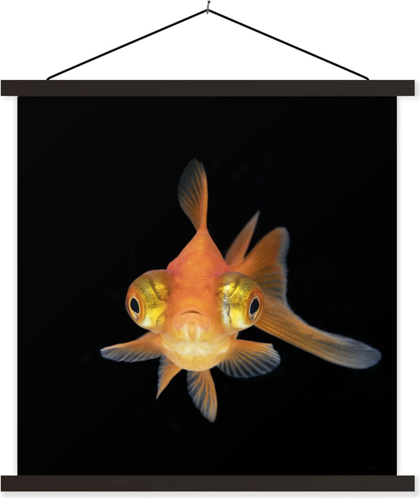 MuchoWow Textilposter Goldfisch - Meerestiere - Augen 40x40 cm mit schwarzem Rahmen - Fotos