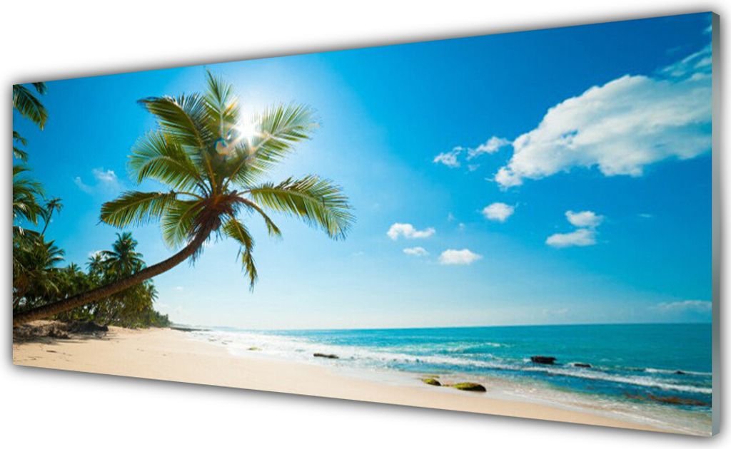 Acrylglasbilder 125x50 Wandbild Druck Palme Strand Meer Landschaft