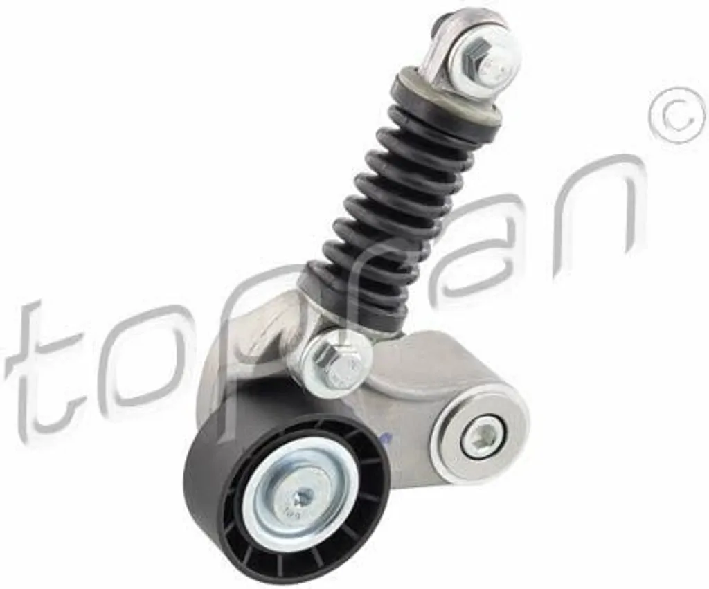 Supprimer Sifflement Courroie Renault Scenic et Megane - Tendeur 700117