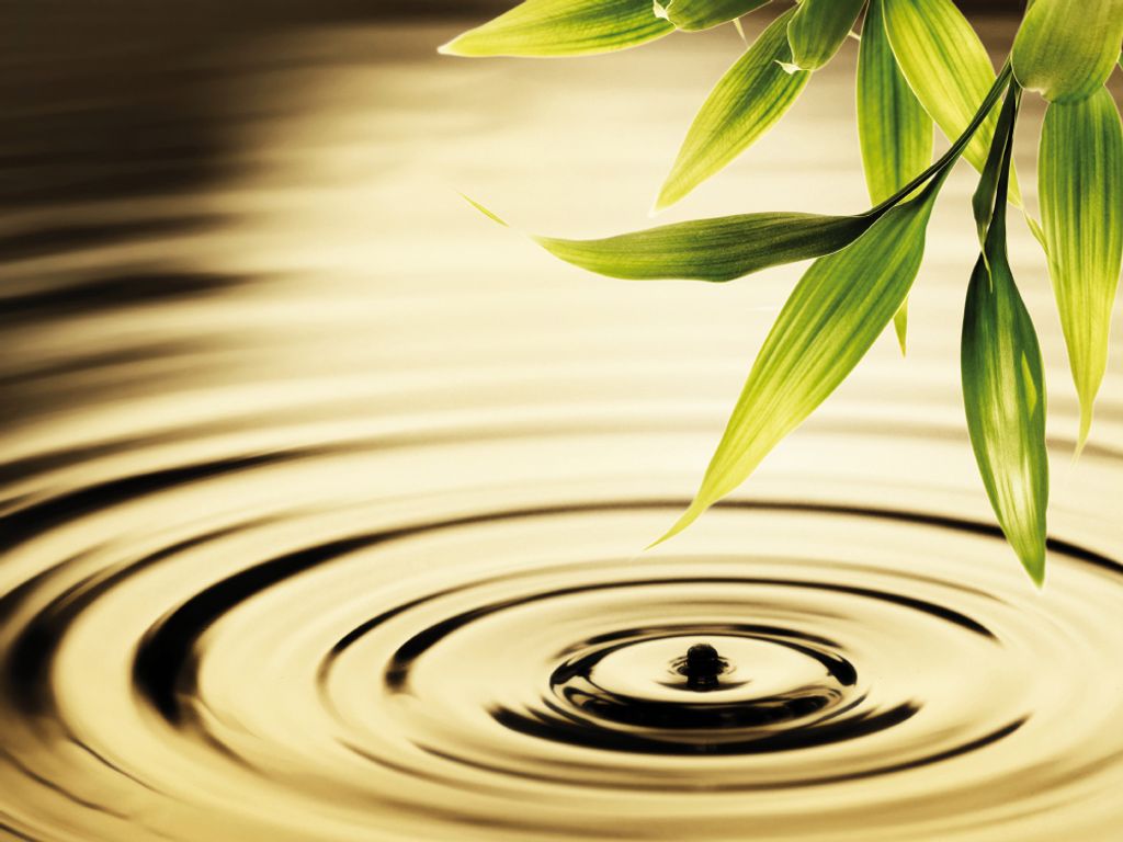 Wasser Kunstdruck Bild - Wasserkreise, Ein Tautropfen Fällt Von Bambusblättern (60 x 80 cm)