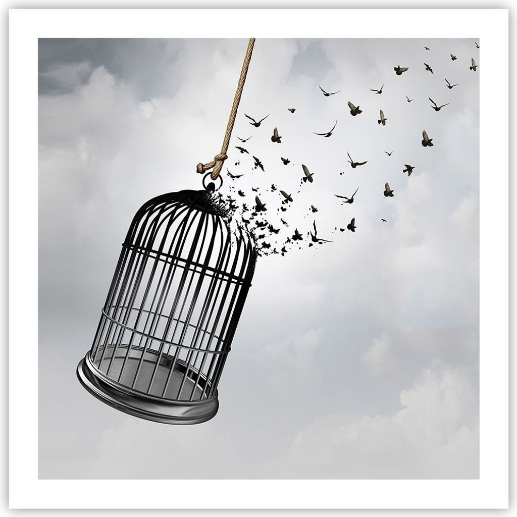 Poster - Poster ohne Rahmen - Freiheit Käfig Vögel - 60x60 cm - Wand Bild - Wanddeko - Wandbilder - Kunstposter - Wandposter - Bilder - Kunstdruc...