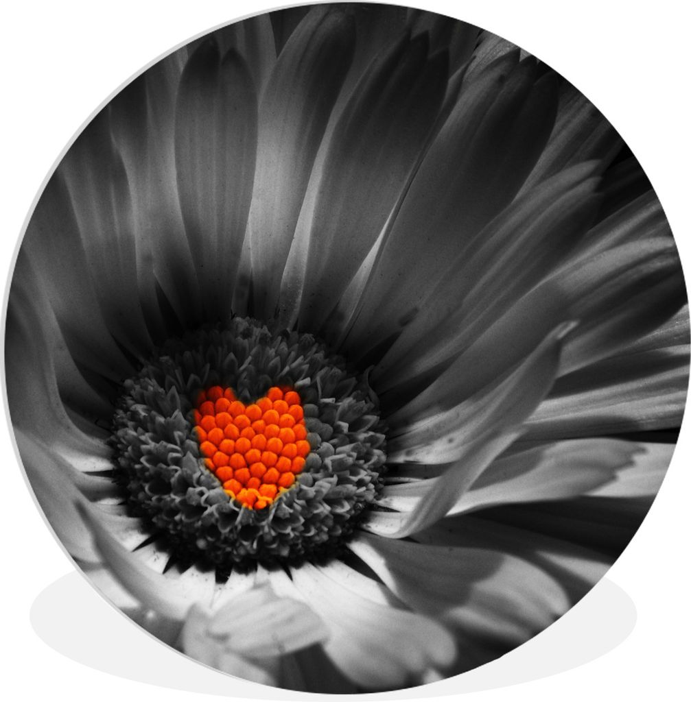 MuchoWow Rundes Wandbild - Runde Bilder Schwarz-Weiß-Foto einer Ringelblume mit einem roten Herz Ø 60 cm Kreis Wanddekoration Kunststoff - Wand...
