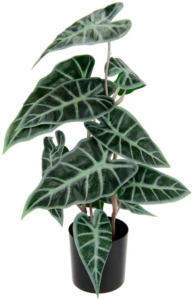 Plante Calathea Artificielle pour Bureau et Salon - Zéro Entretien 1pc
