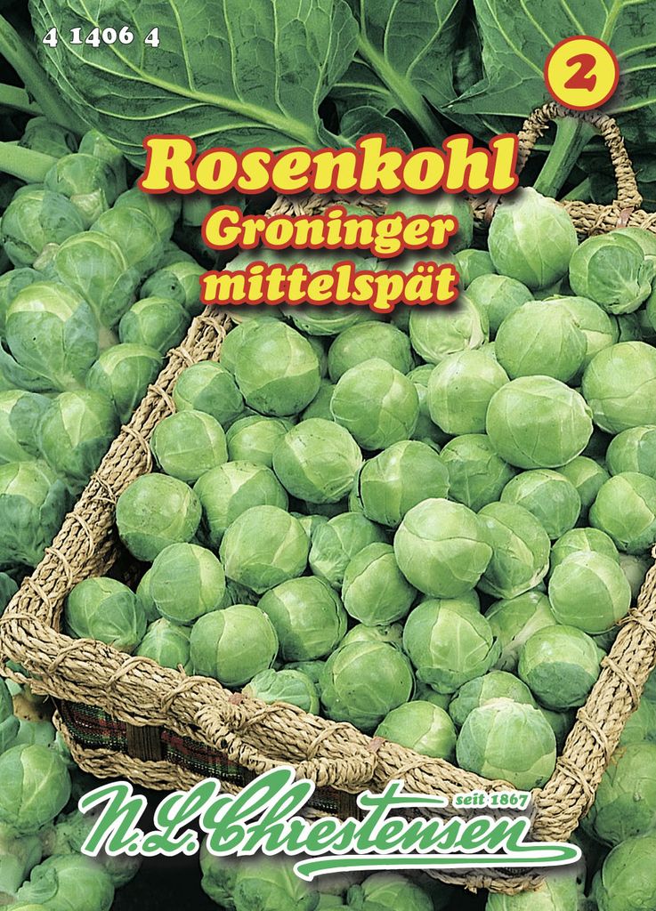 Rosenkohl Groninger | Rosenkohlsamen von N.L. Chrestensen