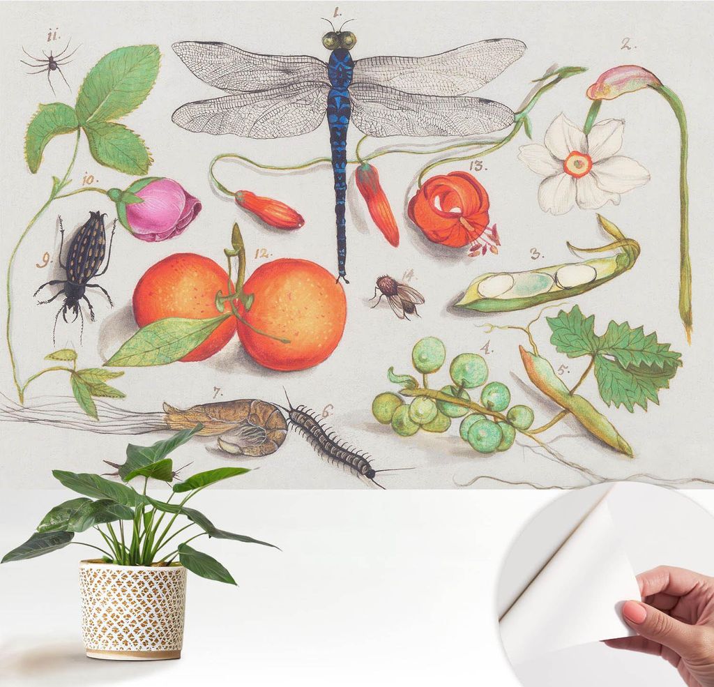 Fototapete selbstklebend - 152x104 cm - Tapete - Wandtapete - Wandbilder - Klebefolie - Dekofolie - Tapete Folie - Wand - Dekoration - Wohnzimmer -...
