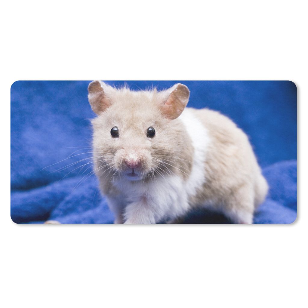 MuchoWow Schreibtischunterlage Syrischer Hamster 80x40 cm - XXL Mauspad - Gaming Mauspad
