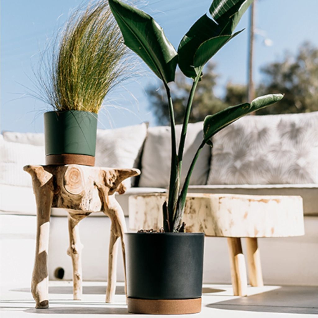 Edanti ECOHolz Blumentopf Mit Untersetzer – 14,8–39 Cm, Für Innen & Außen, Versch. Größen