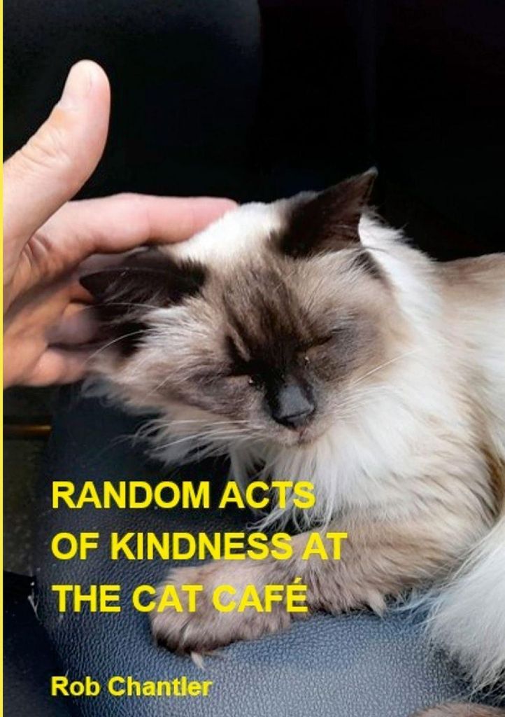 Random Acts Of Kindness At The Cat Cafe