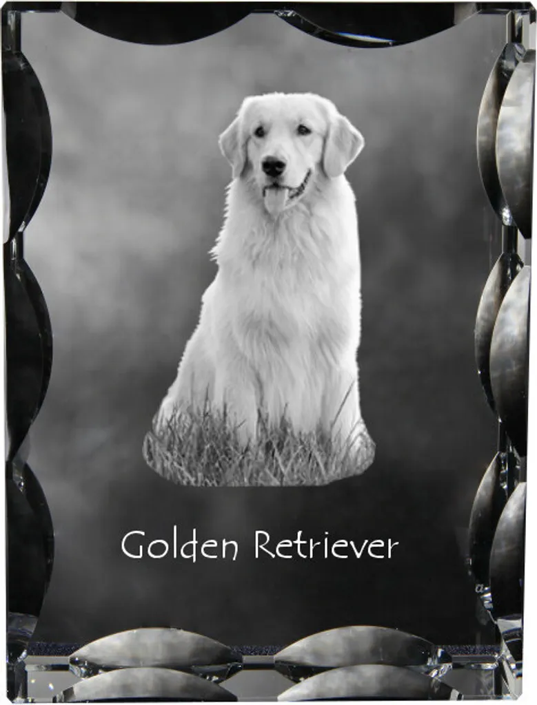 Cristallo con Foto Cane Golden Retriever | Art-Dog Statuetta Vetro Laser
