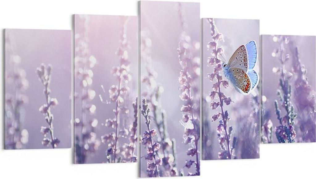 Bild auf Leinwand - Leinwandbild - Schmetterling Wiese Produktbild 