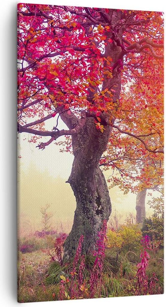 Bild auf Leinwand - Leinwandbild - Baum Natur Wiese - 55x100cm - Wand Bild - Wanddeko - Wandbilder - Leinwanddruck - Bilder - Kunstdruck - Wanddeko...