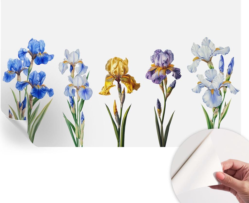 Selbstklebende Wandtapete - Dekorative Tapete für Wohnzimmer - Klebefolie für Wandbilder - Tapetenfolie für Wanddekoration - 416x254 - Irisblüten