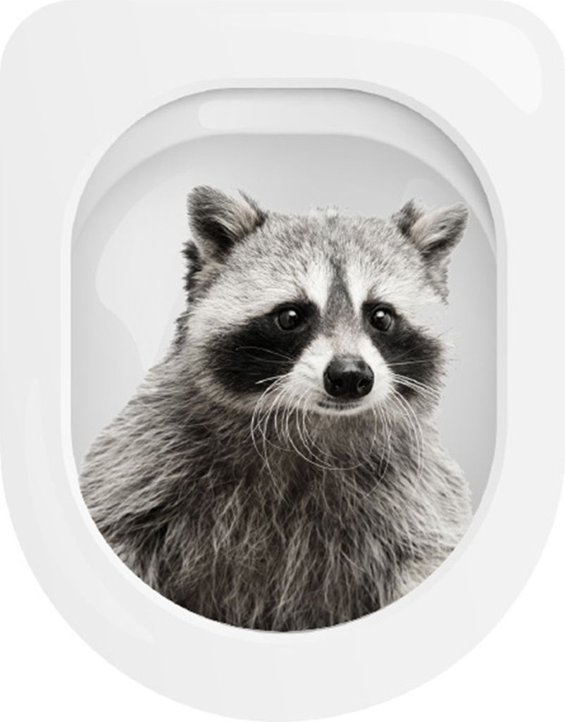 Waschbär Eichhörnchen Toilettenaufkleber Abnehmbarer selbstklebender wasserdichter PVC-Wandaufkleber für Wohnzimmer Tier Badezimmer Toilettendec...