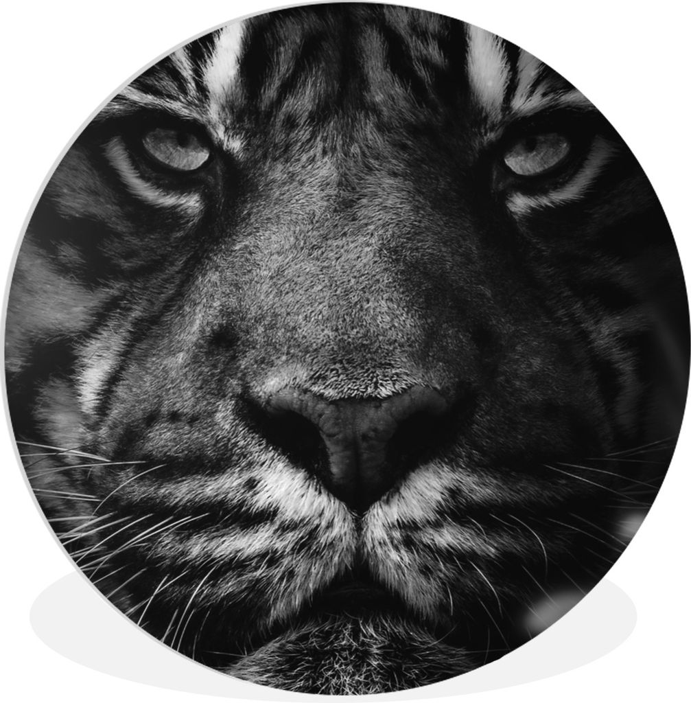 MuchoWow Rundes Wandbild - Runde Bilder Tiere - Tiger - Wild - Schwarz - Weiß Ø 60 cm Kreis Wanddekoration Kunststoff - Wandkreis - Wandschmuck...