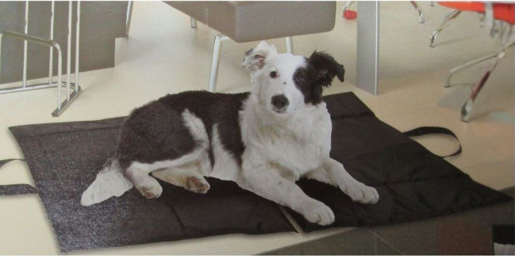 Karlie Flamingo tragbare Liegedecke DOZY DOG - 88 x 47 cm