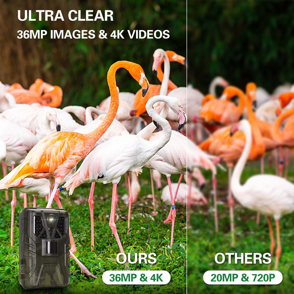 WiFi kamera pro divokou zvěř 4K 36MP BT App Control Lovecká Obrázek produktu 6