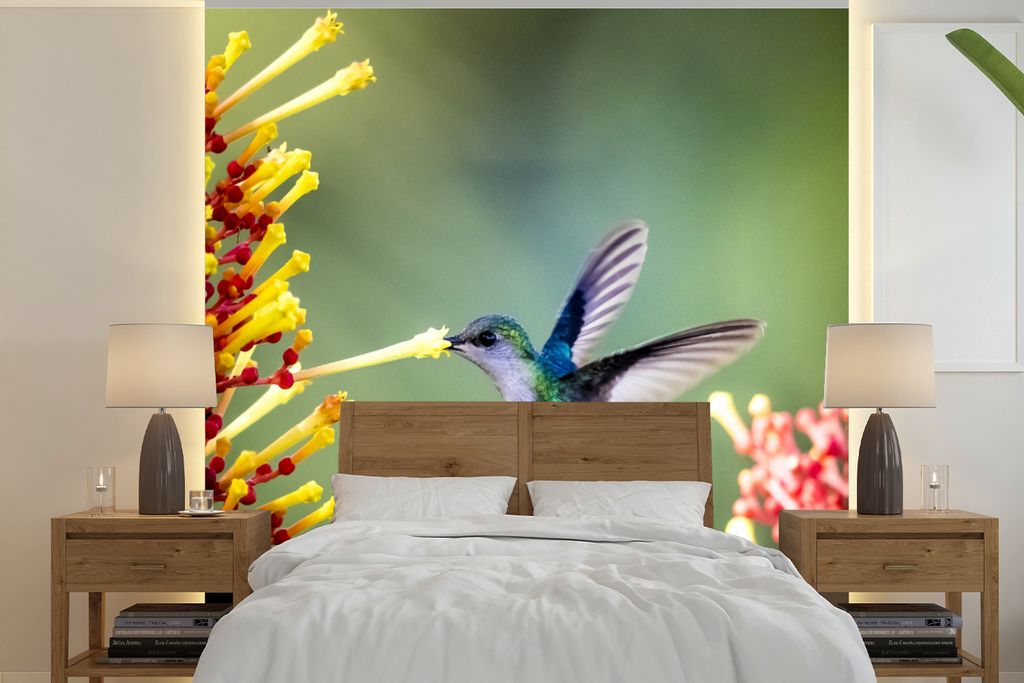 MuchoWow Fototapete für Wohnzimmer oder Schlafzimmer Wandtapete Vinyl Motivtapete Purpurkronige Waldnymphe im Nationalpark von Costa Rica - 300x...