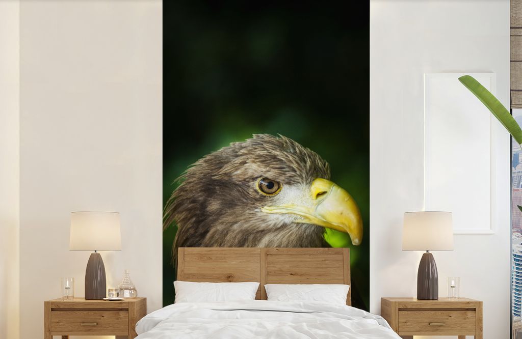 MuchoWow Fototapete für Wohnzimmer oder Schlafzimmer Wandtapete Vinyl Motivtapete Ein Seeadler schaut zur Seite - 120x240 cm - Hintergrundbild