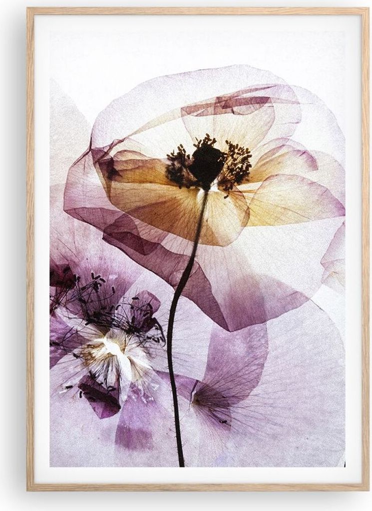 Gerahmtes Poster - Rahmen in heller Eiche - blume sommer natur - 70x100 cm - Wand Bild - Wanddeko - Wandbilder - Wandposter - Bilderrahmen - Bilder...