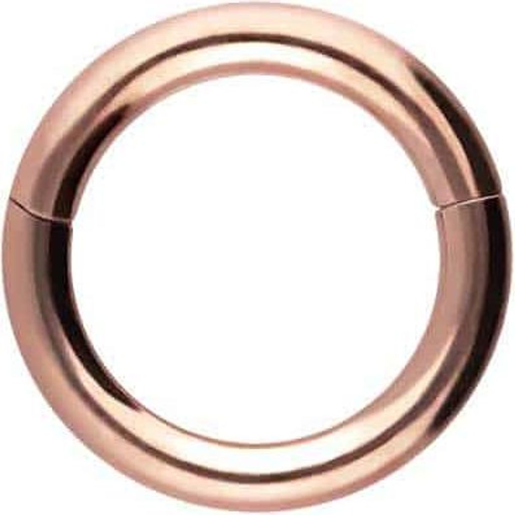 Ohrpiercing, Nasenpiercing, Septum Piercing Chirurgenstahl Segmentring Clicker RoséGold Innendurchmesser: 5mm + Stabstärke: 1,2mm