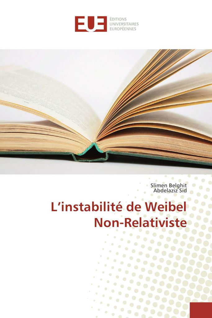 L'instabilité de Weibel Non-Relativiste