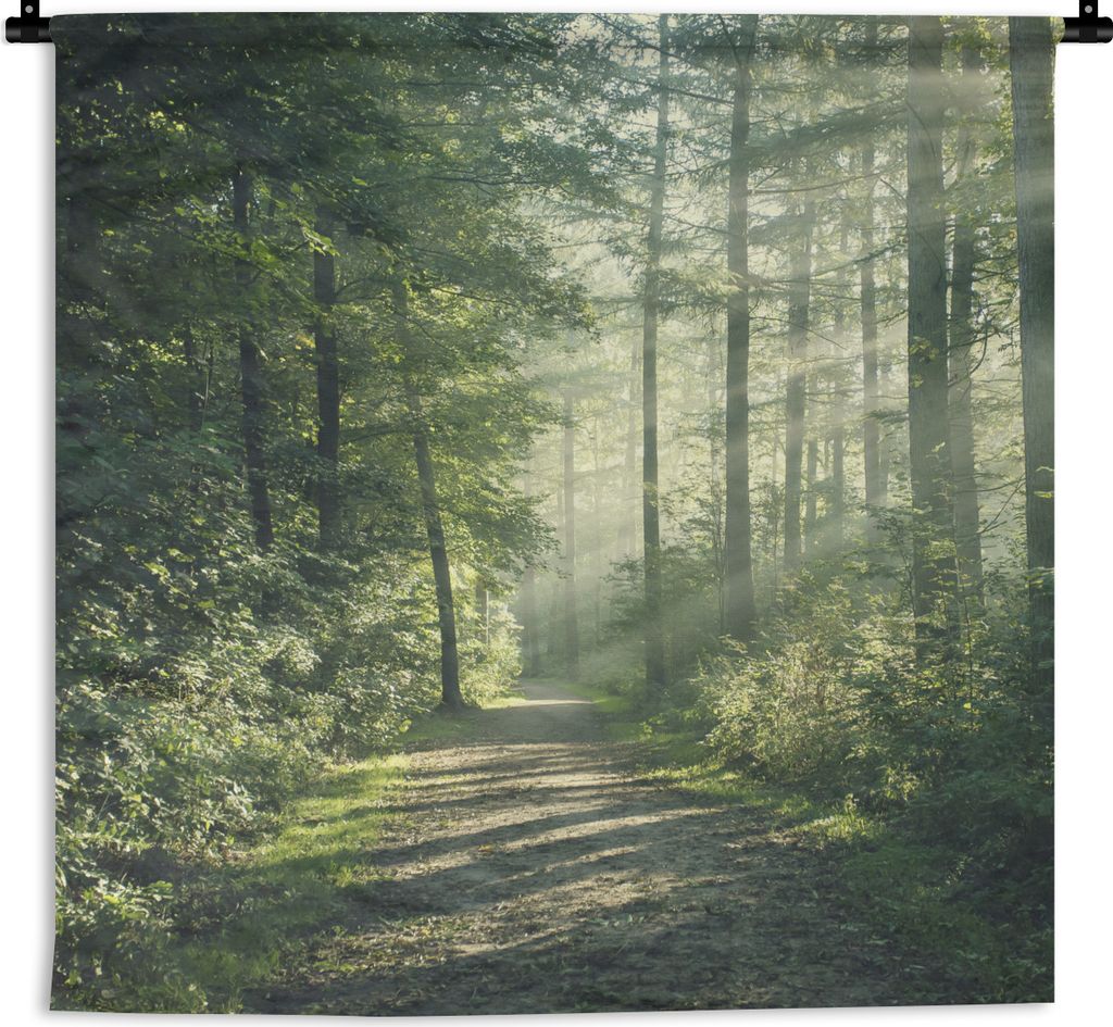 MuchoWow Wandteppich Wandbehang Wald - Weg - Sonne - Bäume - Grün - Natur 150x150 cm Tapisserie Dekoration Wandtuch - Wohnaccessoires - Modernes