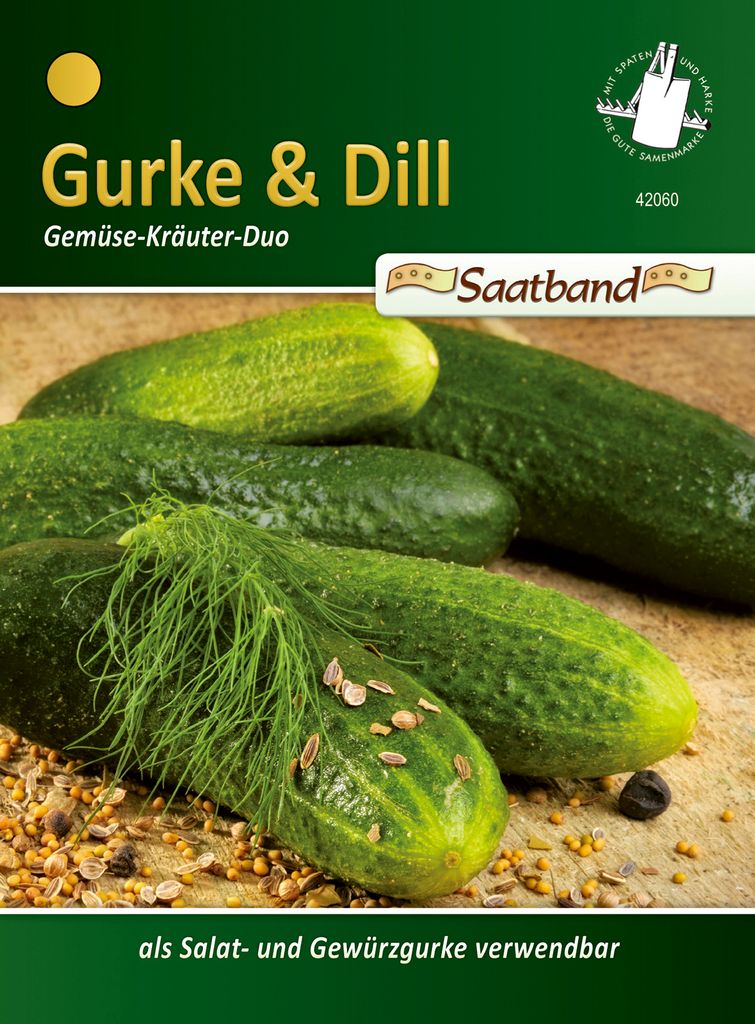 Salatgurke Delikateß Saatband Gemüse