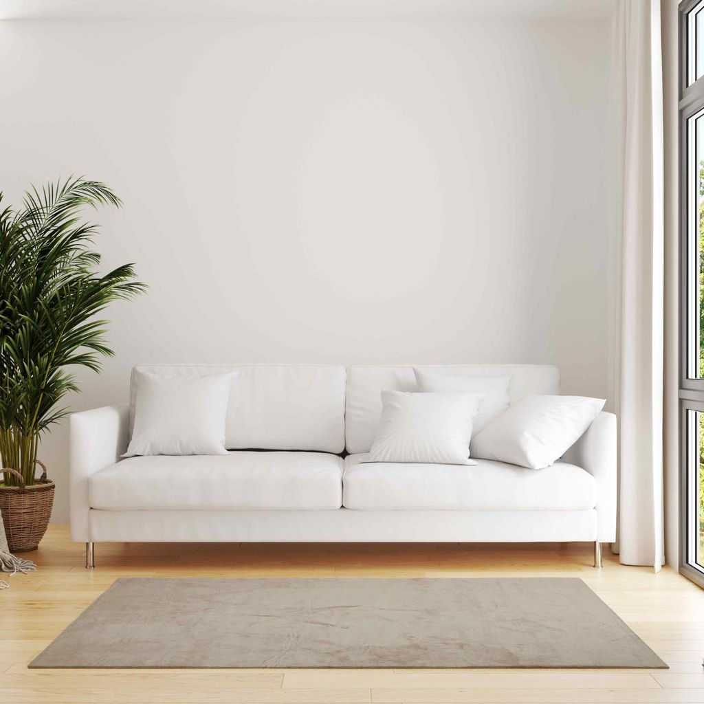 Teppich Rechteckig Kurzflor-Teppich für Wohnzimmer, Waschbar Faltbar, Super Soft, Weich, 80x300 cm, beige