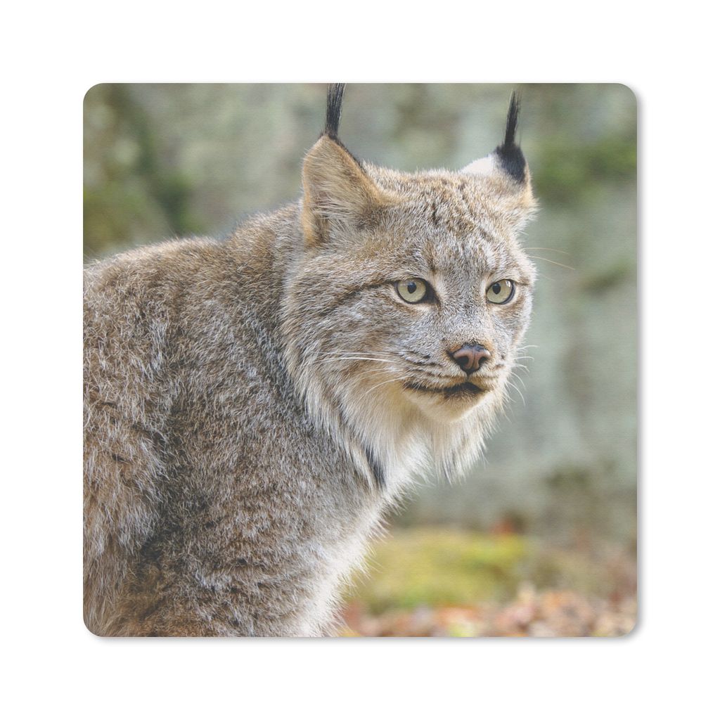 MuchoWow Mauspad Mousepad Luchs - Wald - Grau 30x30 cm - Mousepads - Maus Mat - Pad - Mausunterlage - Gaming