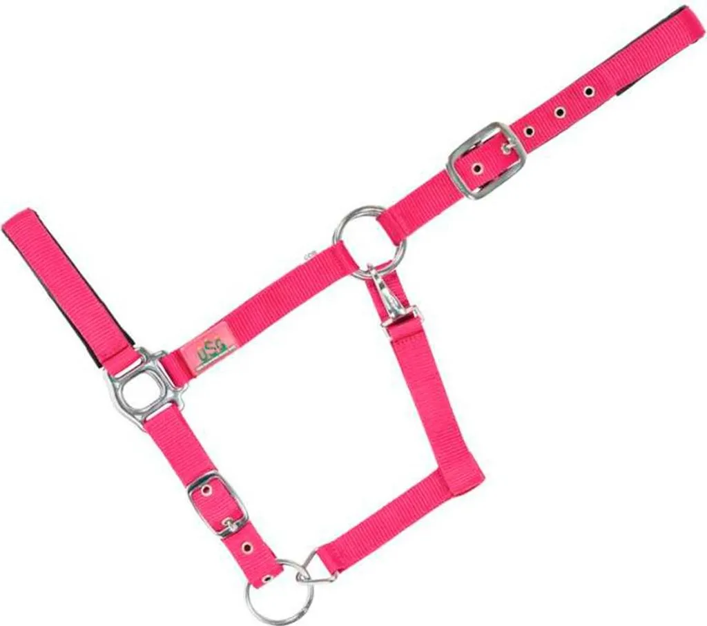 Fini les frottements avec le tapis USG Rosa Pony pour dos sensible