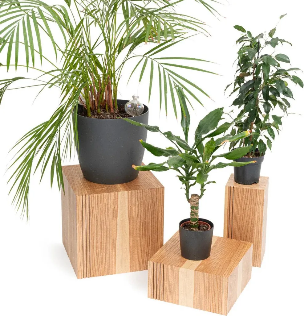 Support pour plantes d'intérieur en bois - Idéal pour grands pots lourds