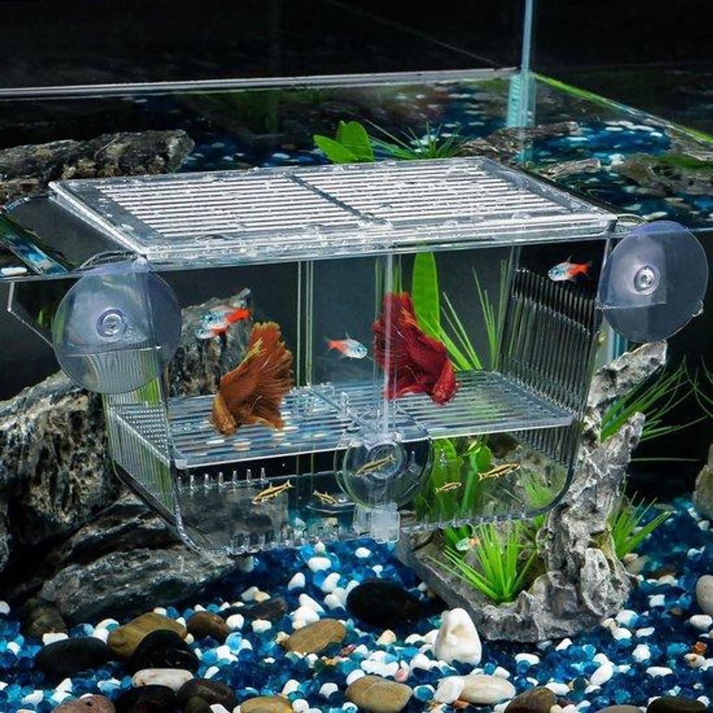 Aquarium-Aquarien-Hatchery Box mit 6 Klammern - Acryl-Brutkasten für Babyfische - Garnelen - Betta - Guppy - Platy