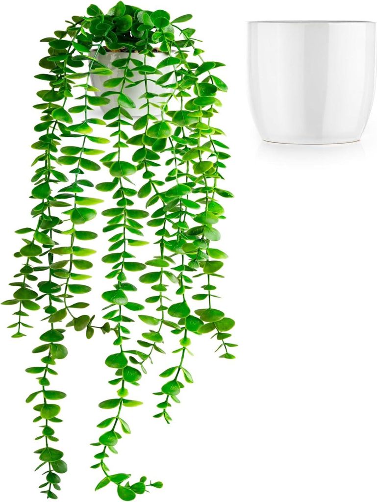 Künstlicher Eukalyptus (60 cm) in weißem Keramiktopf: künstliche Hängepflanzen | künstliche Pflanzen wie echt | hängende Kunstpflanzen | Kuns...
