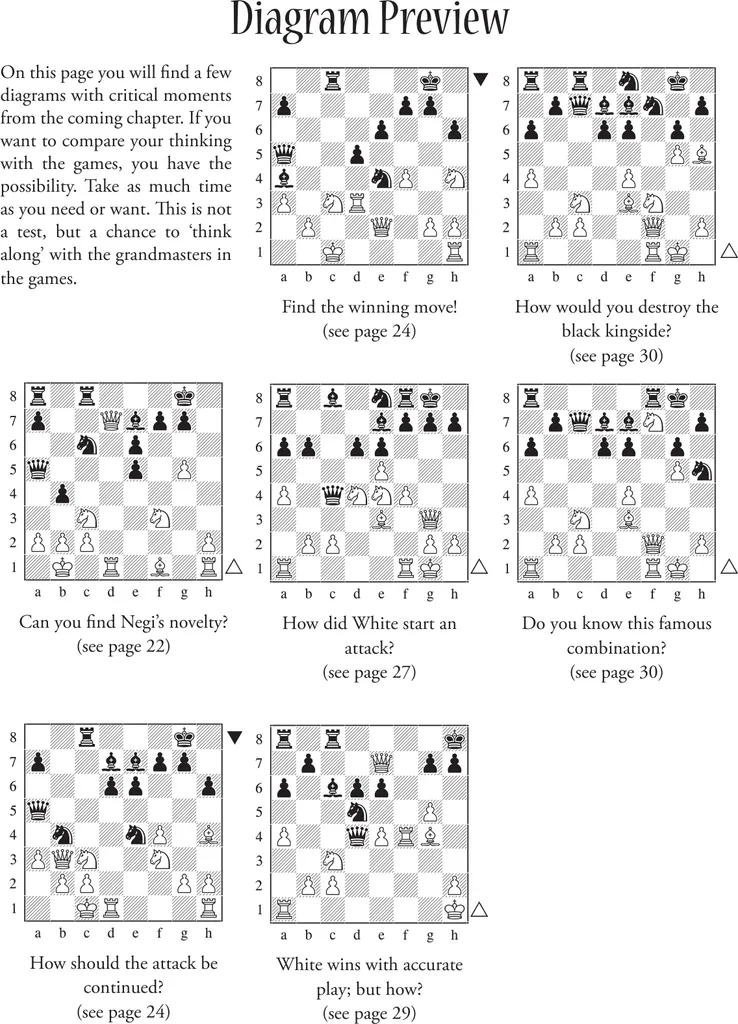 Dynamic Decision Making in Chess par Boris Gelfand en version brochée - 7