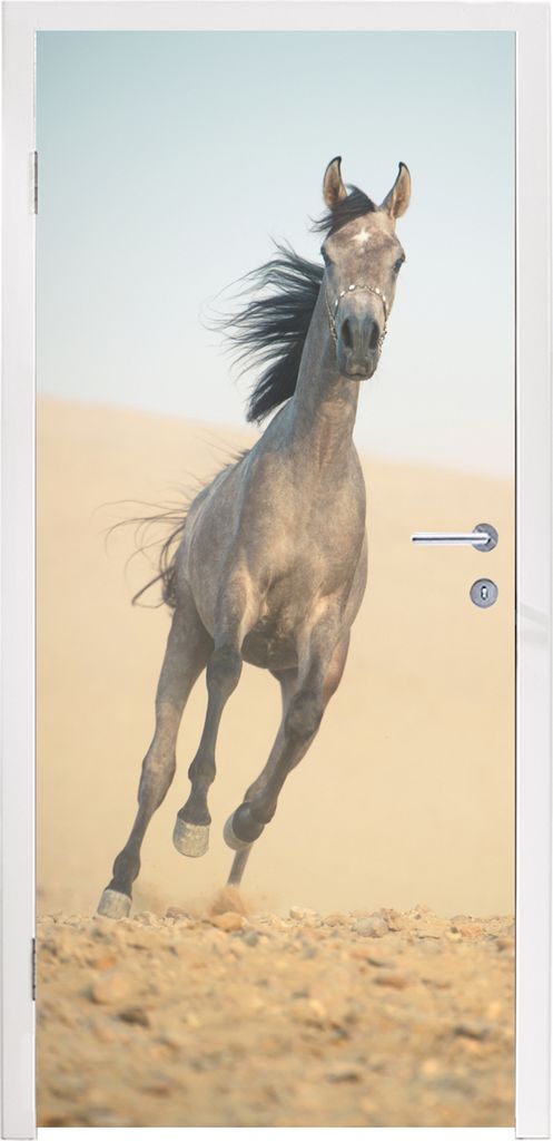 MuchoWow Türtapete Selbstklebende Türfolie Pferd - Sand - Wüste 80x215 cm Türposter Türaufkleber Klebefolie Türklebefolie - Selbstklebende ...