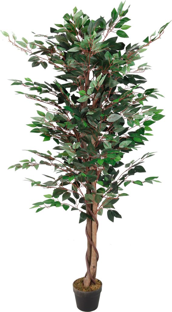 Deko Pflanze 160 cm - Modell: Ficus Produktbild 