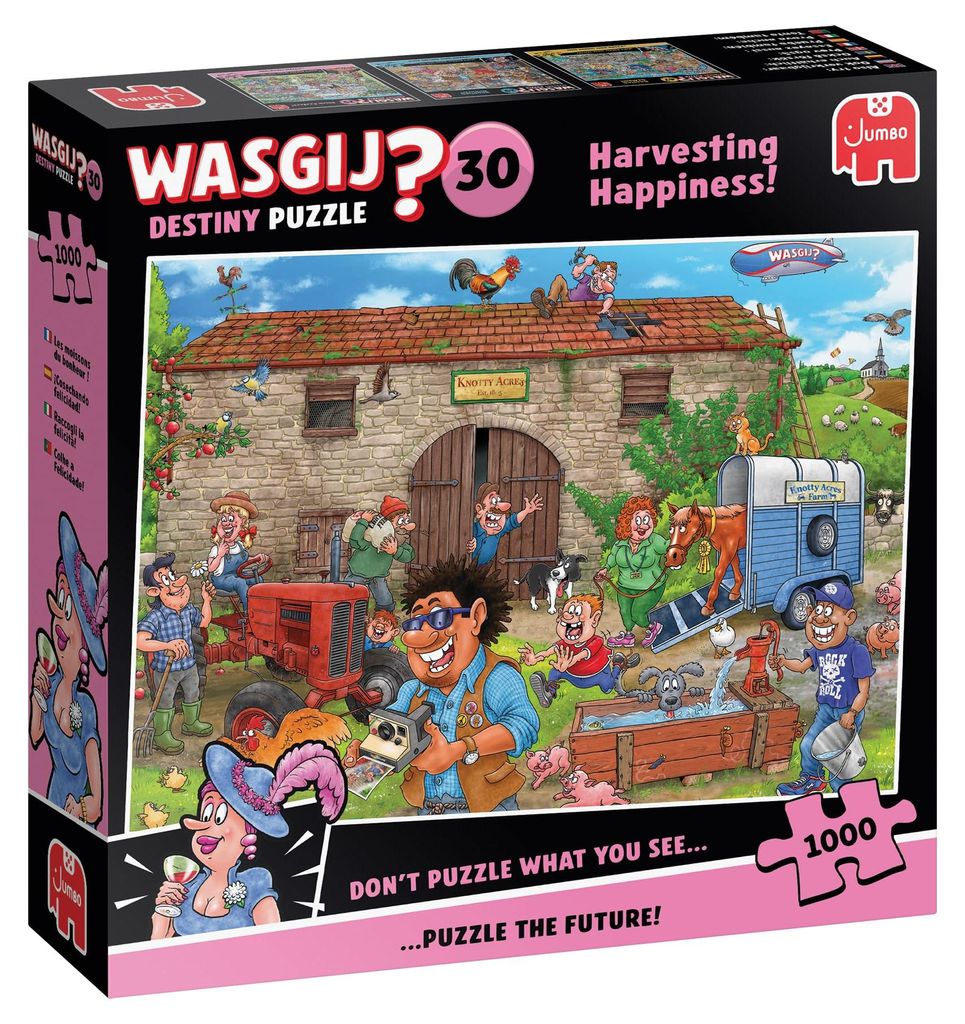 Wasgij Destiny 30 - Puzzle 1000 Teile Produktbild 